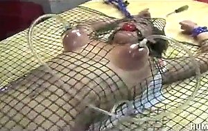 Brooke lee adams gets pinned down by chicken wire